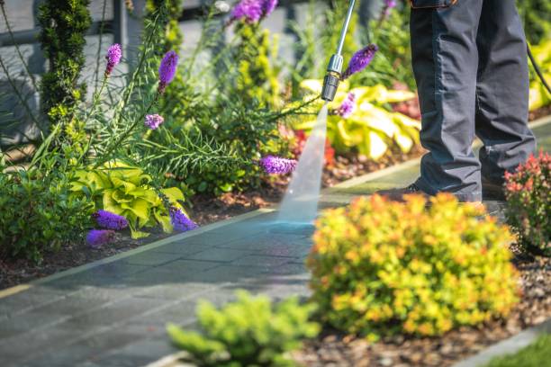 Best Patio and Deck Pressure Washing  in Gateway, FL